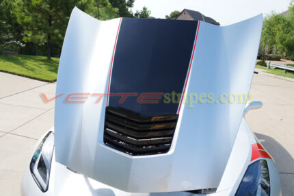 Silver C7 Stingray with carbon flash black and red ME stinger stripe