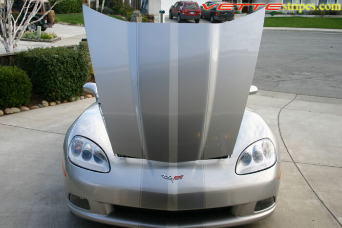 Machine silver C6 Corvette with metallic pewter racing stripe 2