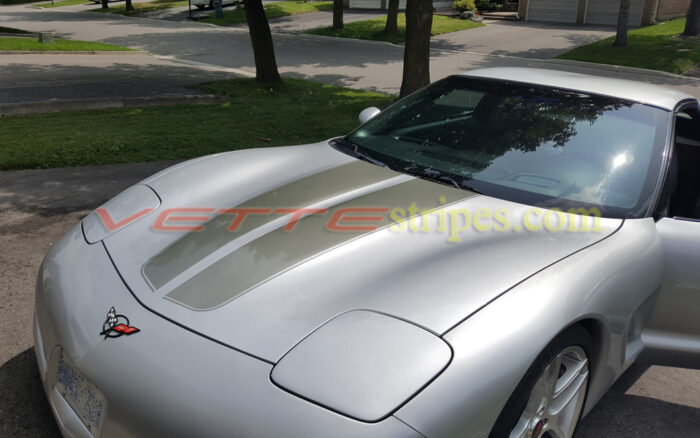Silver C5 Corvette coupe with metallic charcoal CE1 stripes