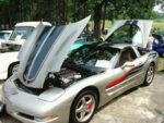 Pewter C5 Corvette with carbon fiber CE commemorative stripes