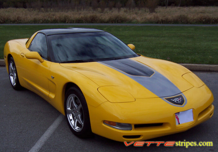 Yellow C5 Corvette with black and silver GT1 stripe and optional printed jake skull