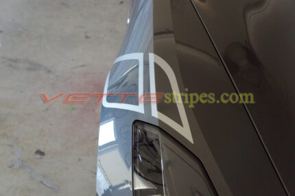 Shark Gray C7 Stingray carbon 65 fender hash marks in blade silver without script
